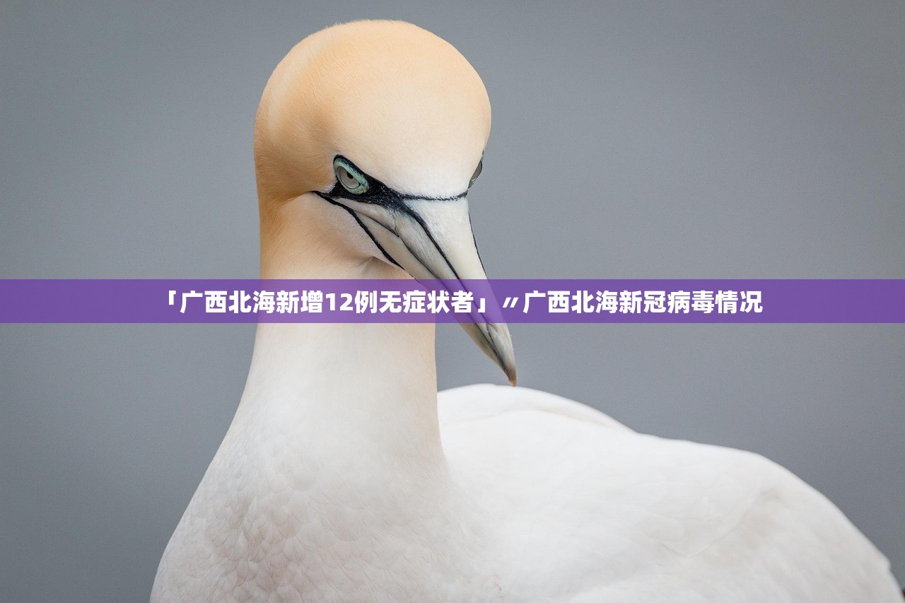 「广西北海新增12例无症状者」〃广西北海新冠病毒情况