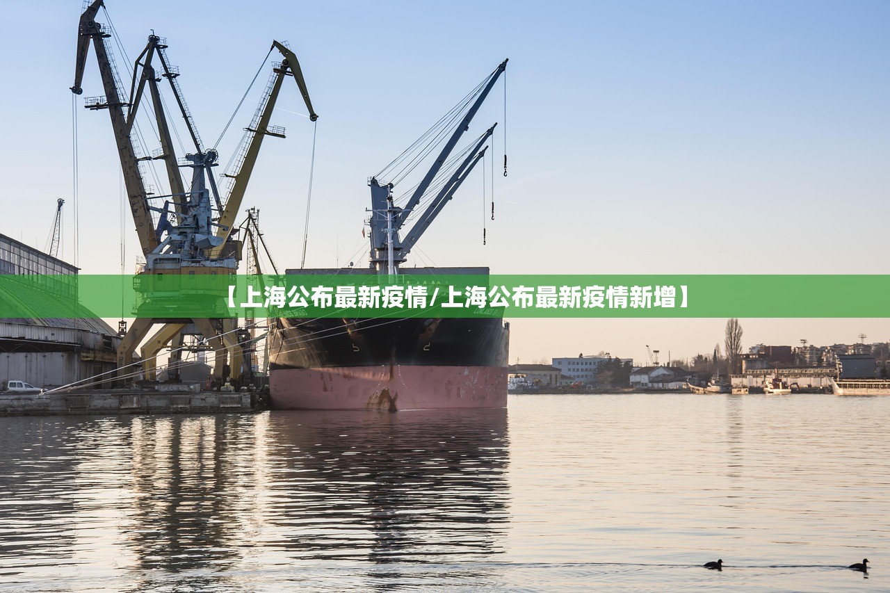 【上海公布最新疫情/上海公布最新疫情新增】 【上海公布最新疫情/上海公布最新疫情新增】