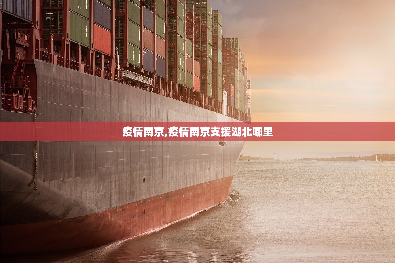 疫情南京,疫情南京支援湖北哪里