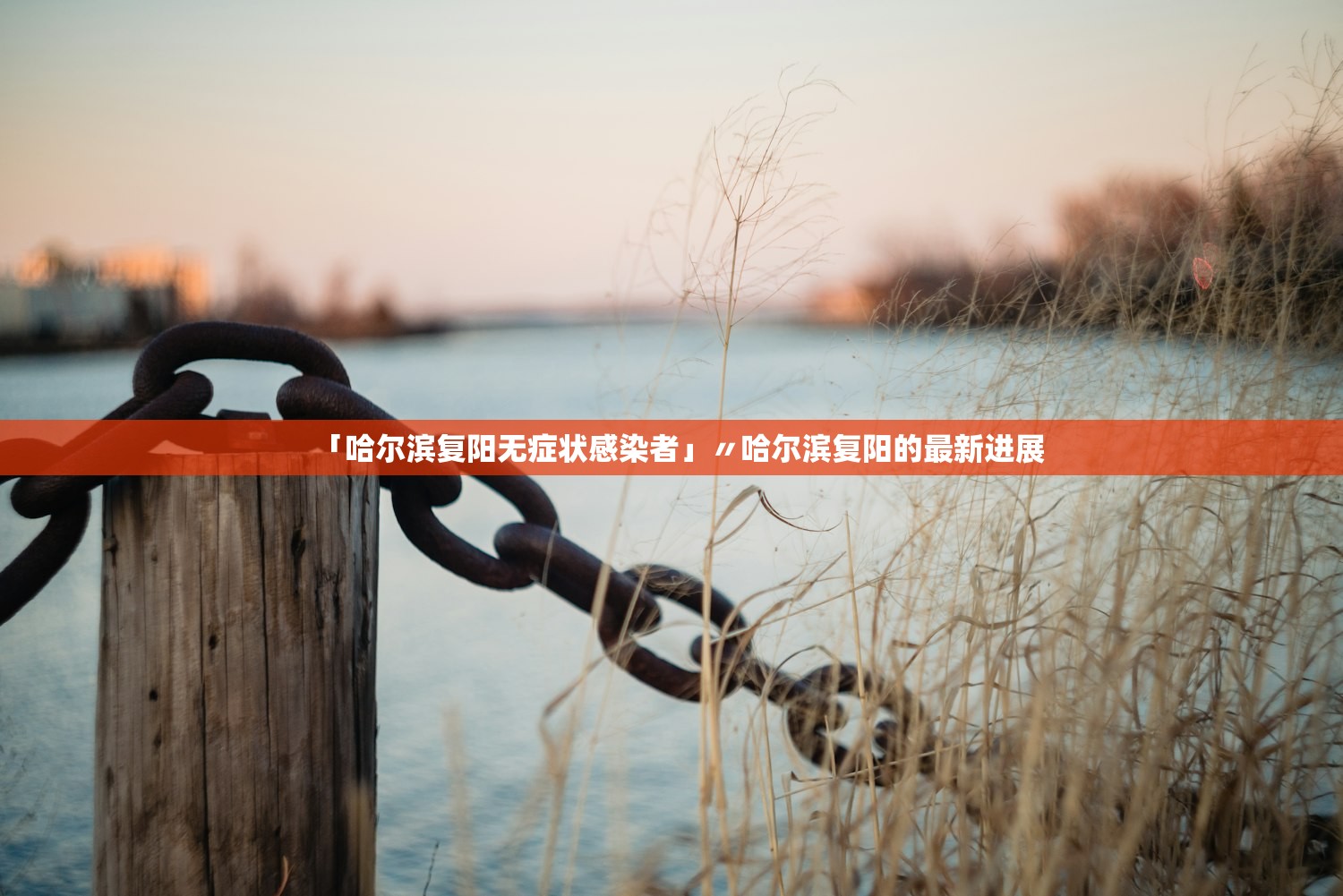 「哈尔滨复阳无症状感染者」〃哈尔滨复阳的最新进展 「哈尔滨复阳无症状感染者」〃哈尔滨复阳的最新进展