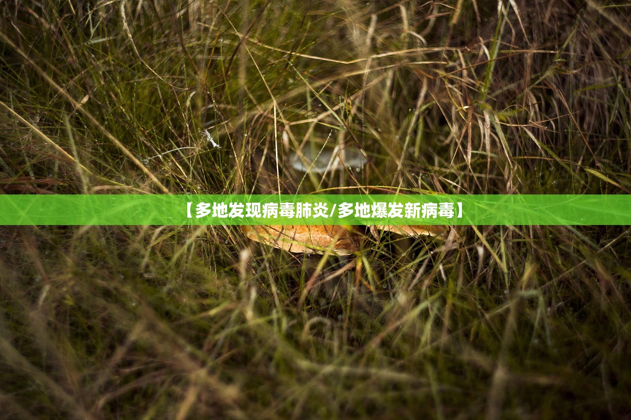 【多地发现病毒肺炎/多地爆发新病毒】