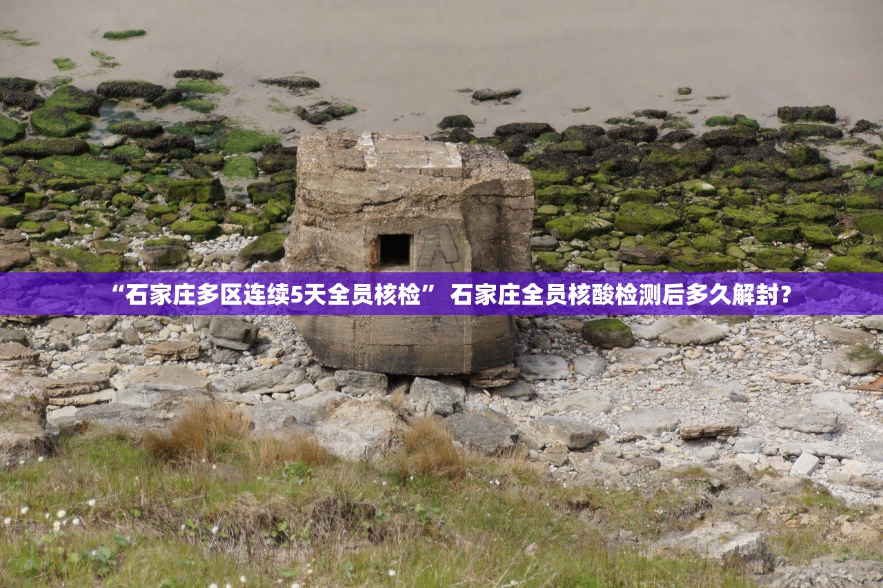 “石家庄多区连续5天全员核检” 石家庄全员核酸检测后多久解封？