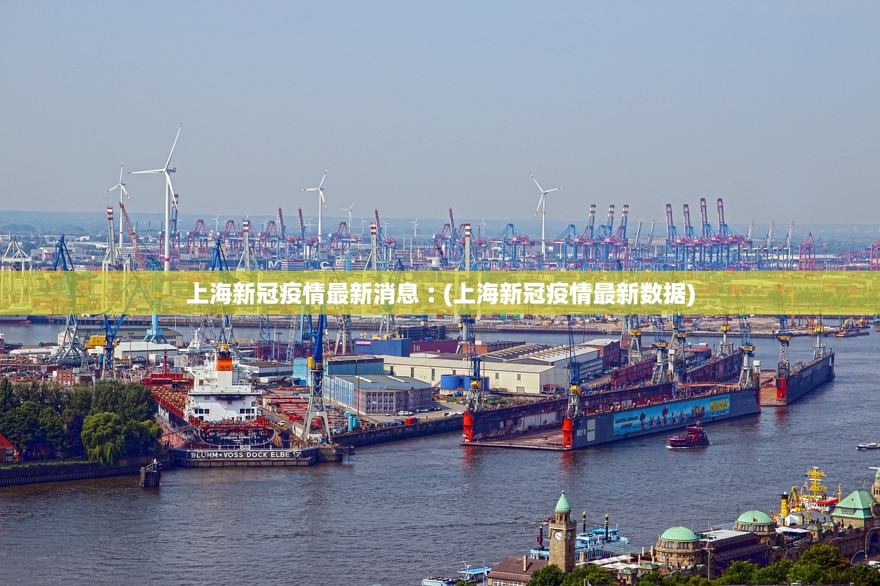上海新冠疫情最新消息︰(上海新冠疫情最新数据) 上海新冠疫情最新消息︰(上海新冠疫情最新数据)