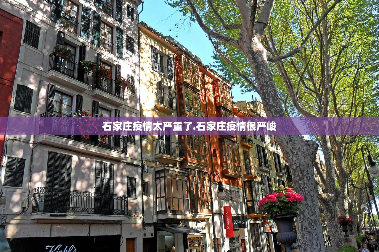 石家庄疫情太严重了.石家庄疫情很严峻 石家庄疫情太严重了.石家庄疫情很严峻