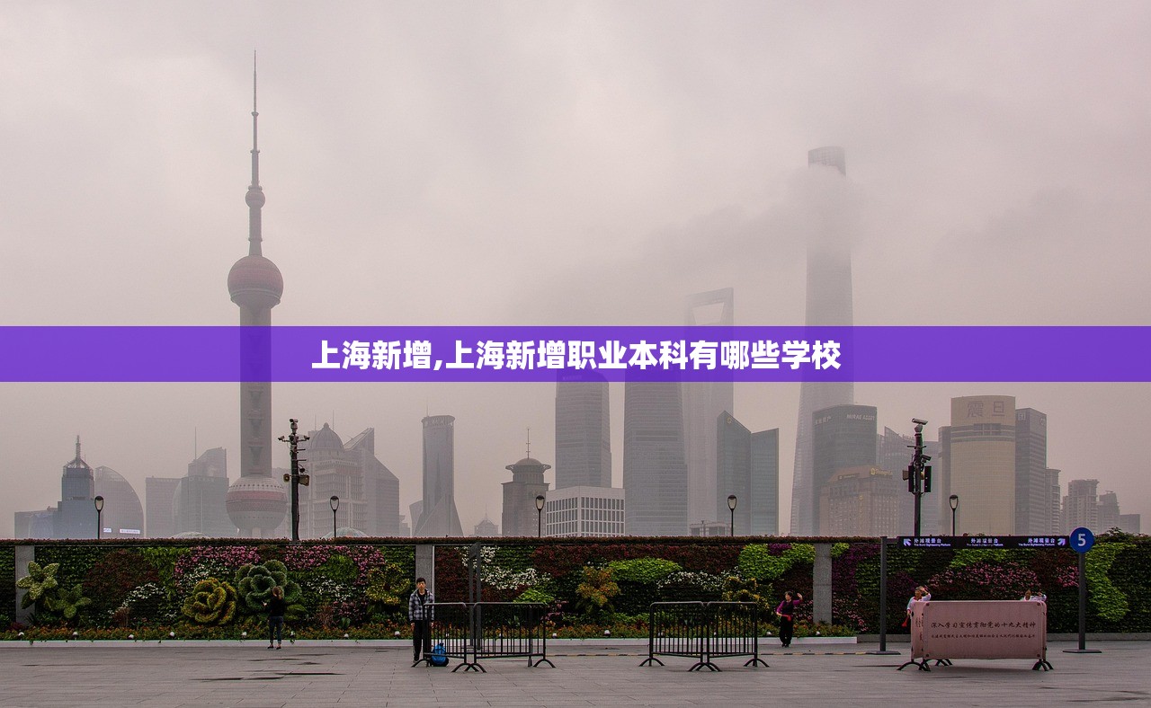 上海新增,上海新增职业本科有哪些学校