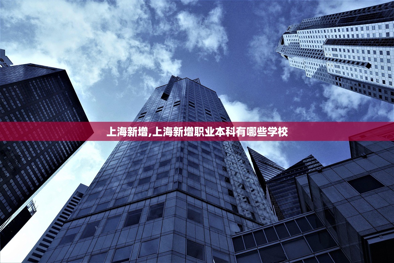 上海新增,上海新增职业本科有哪些学校