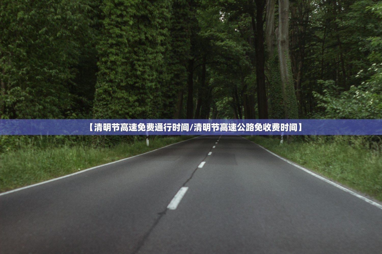 【清明节高速免费通行时间/清明节高速公路免收费时间】 【清明节高速免费通行时间/清明节高速公路免收费时间】