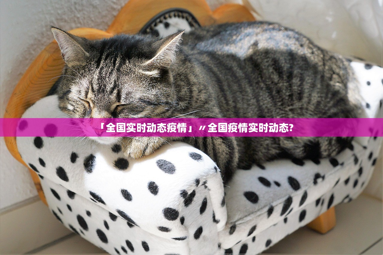 「全国实时动态疫情」〃全国疫情实时动态?