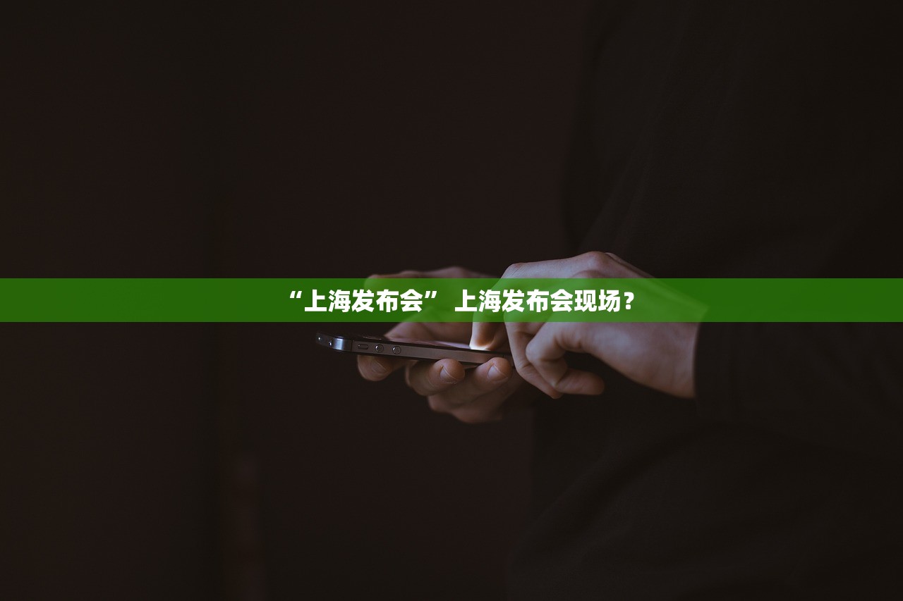 “上海发布会	” 上海发布会现场？