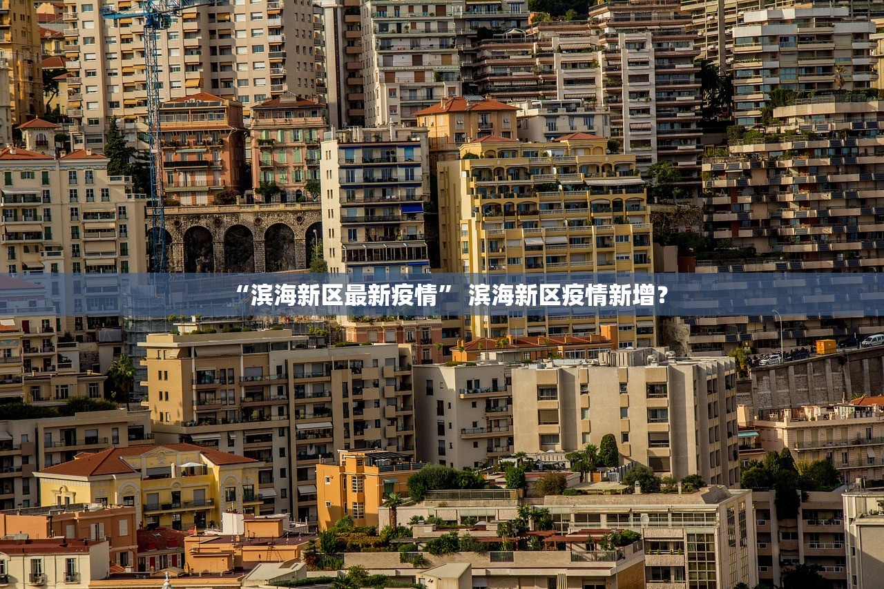 “滨海新区最新疫情” 滨海新区疫情新增？