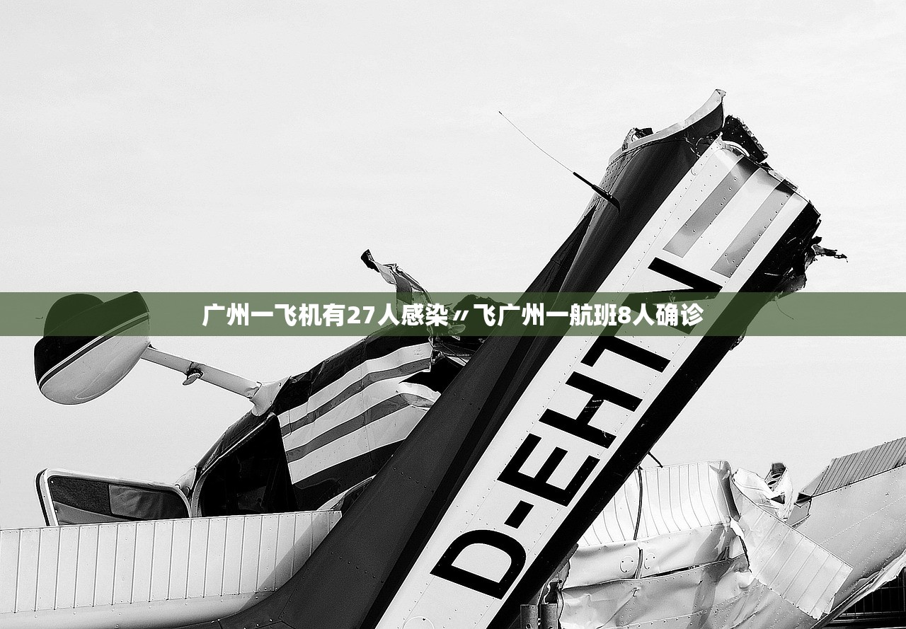 广州一飞机有27人感染〃飞广州一航班8人确诊 广州一飞机有27人感染〃飞广州一航班8人确诊