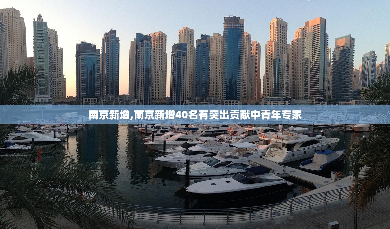 南京新增,南京新增40名有突出贡献中青年专家