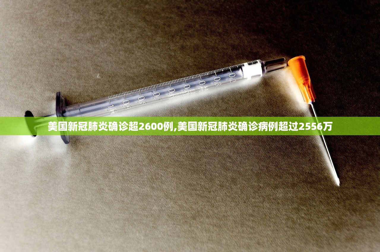 美国新冠肺炎确诊超2600例,美国新冠肺炎确诊病例超过2556万