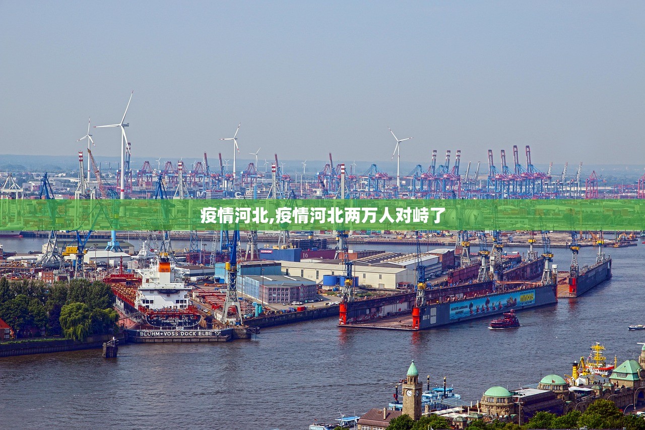 疫情河北,疫情河北两万人对峙了 疫情河北,疫情河北两万人对峙了