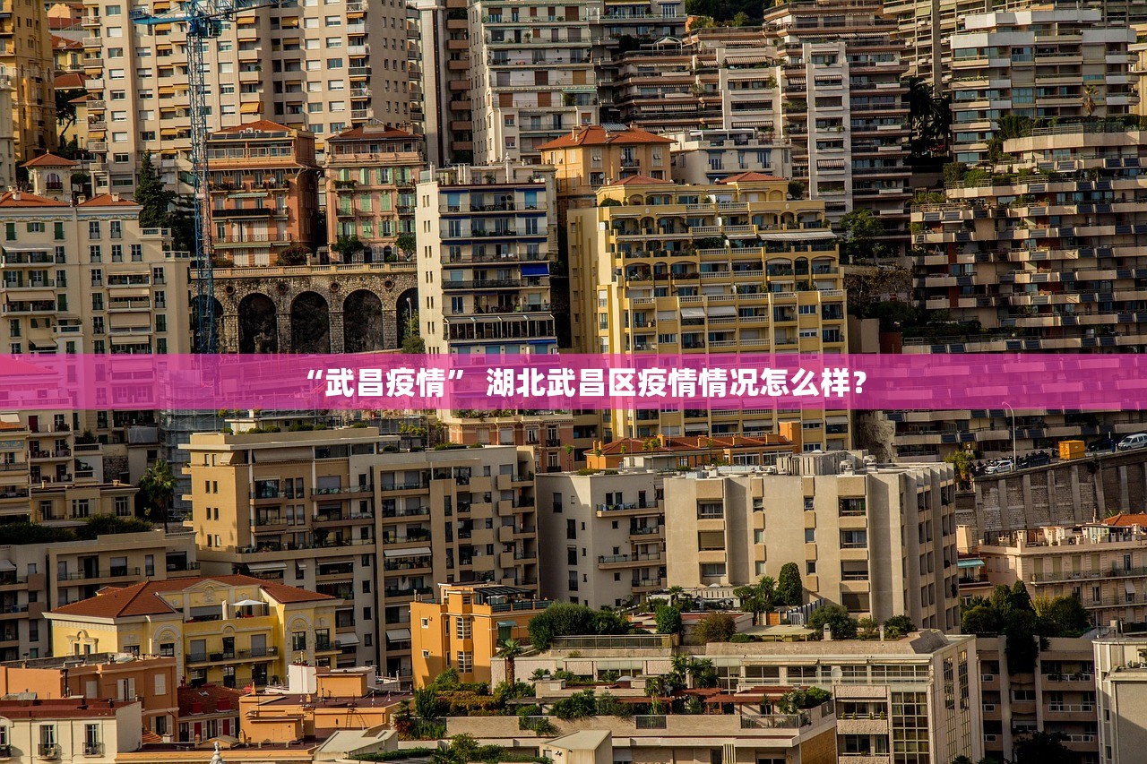 “武昌疫情” 湖北武昌区疫情情况怎么样？