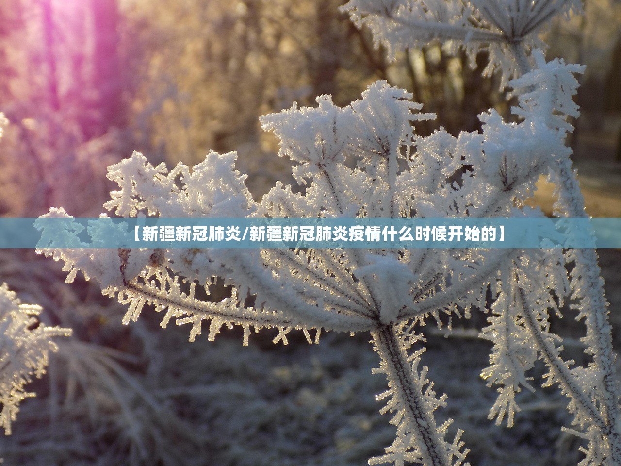 【新疆新冠肺炎/新疆新冠肺炎疫情什么时候开始的】 【新疆新冠肺炎/新疆新冠肺炎疫情什么时候开始的】