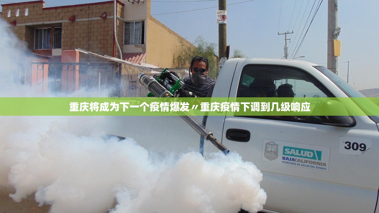 重庆将成为下一个疫情爆发〃重庆疫情下调到几级响应 重庆将成为下一个疫情爆发〃重庆疫情下调到几级响应