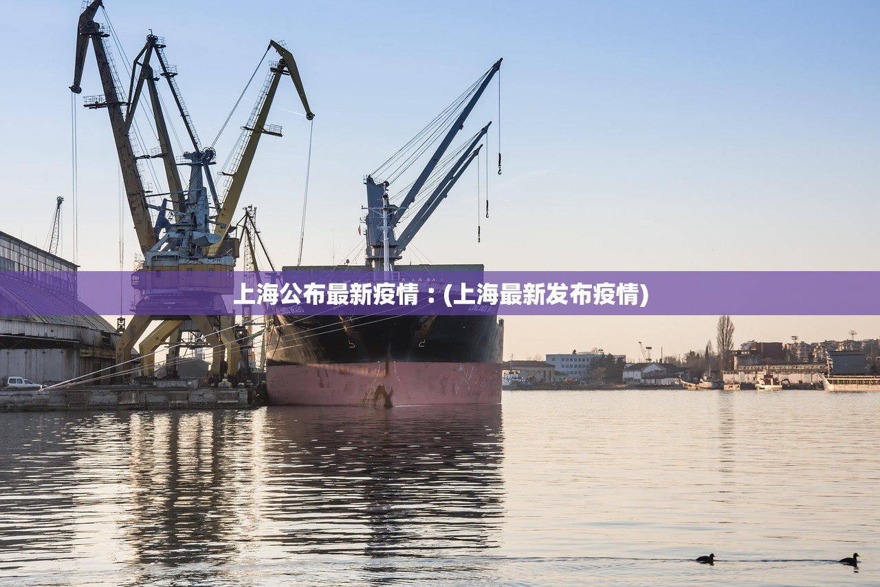 上海公布最新疫情︰(上海最新发布疫情)