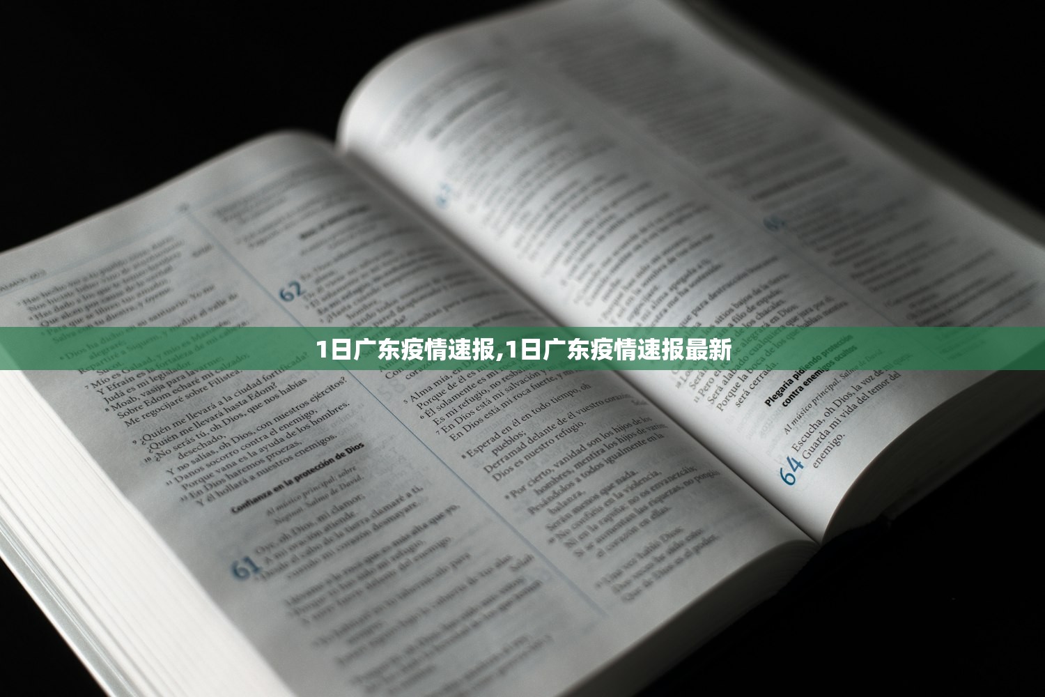 1日广东疫情速报,1日广东疫情速报最新 1日广东疫情速报,1日广东疫情速报最新