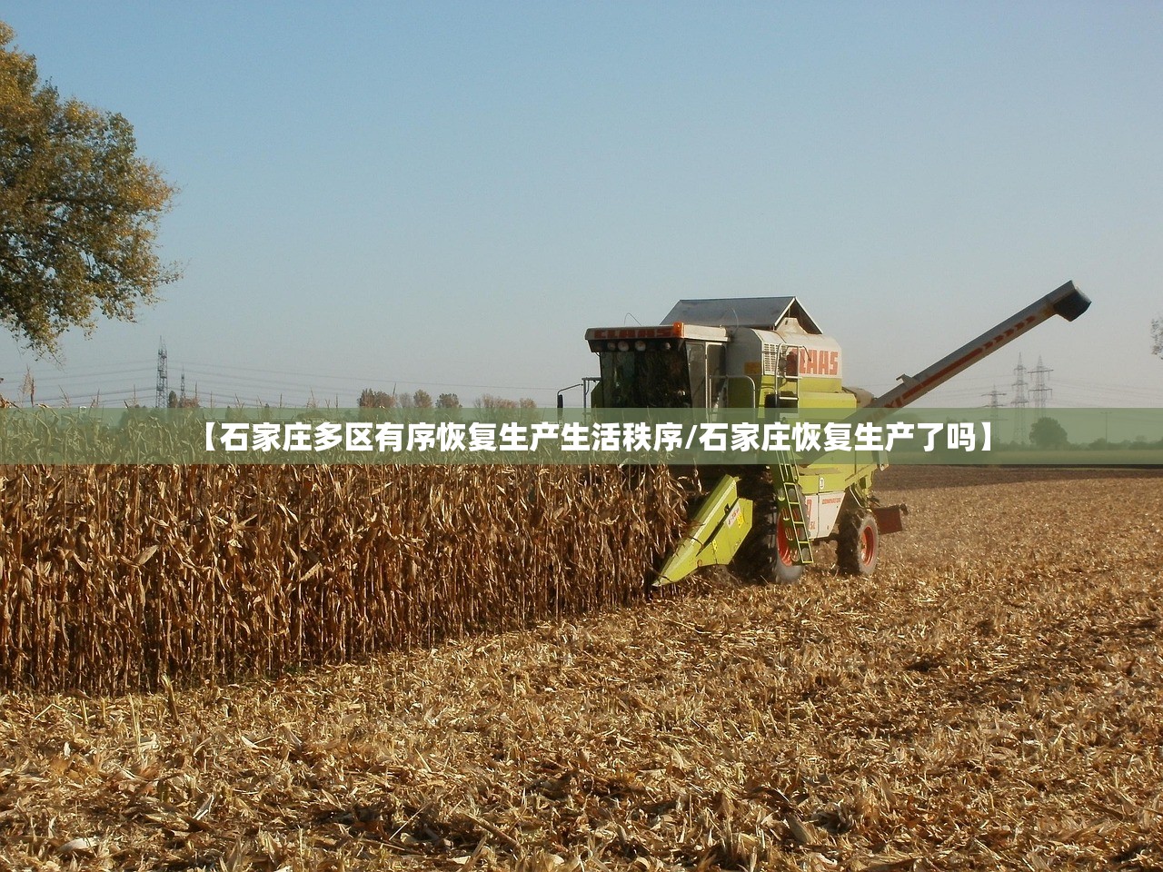 【石家庄多区有序恢复生产生活秩序/石家庄恢复生产了吗】