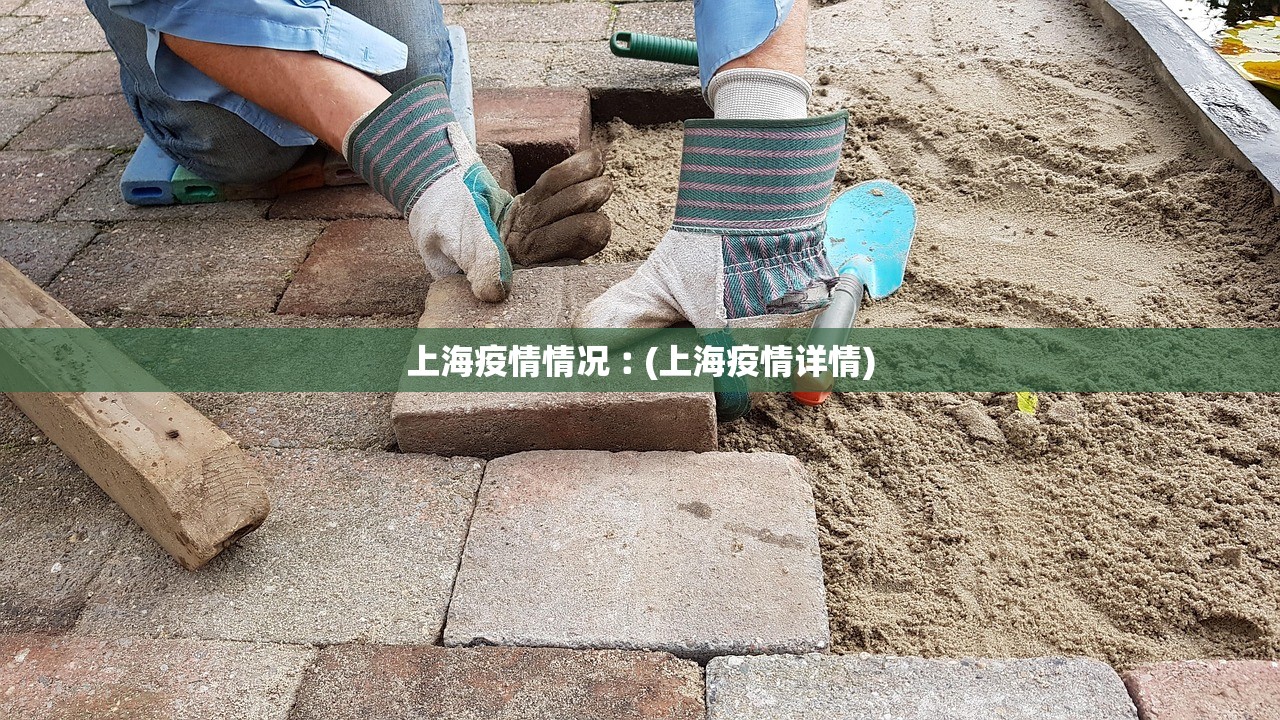 上海疫情情况︰(上海疫情详情)