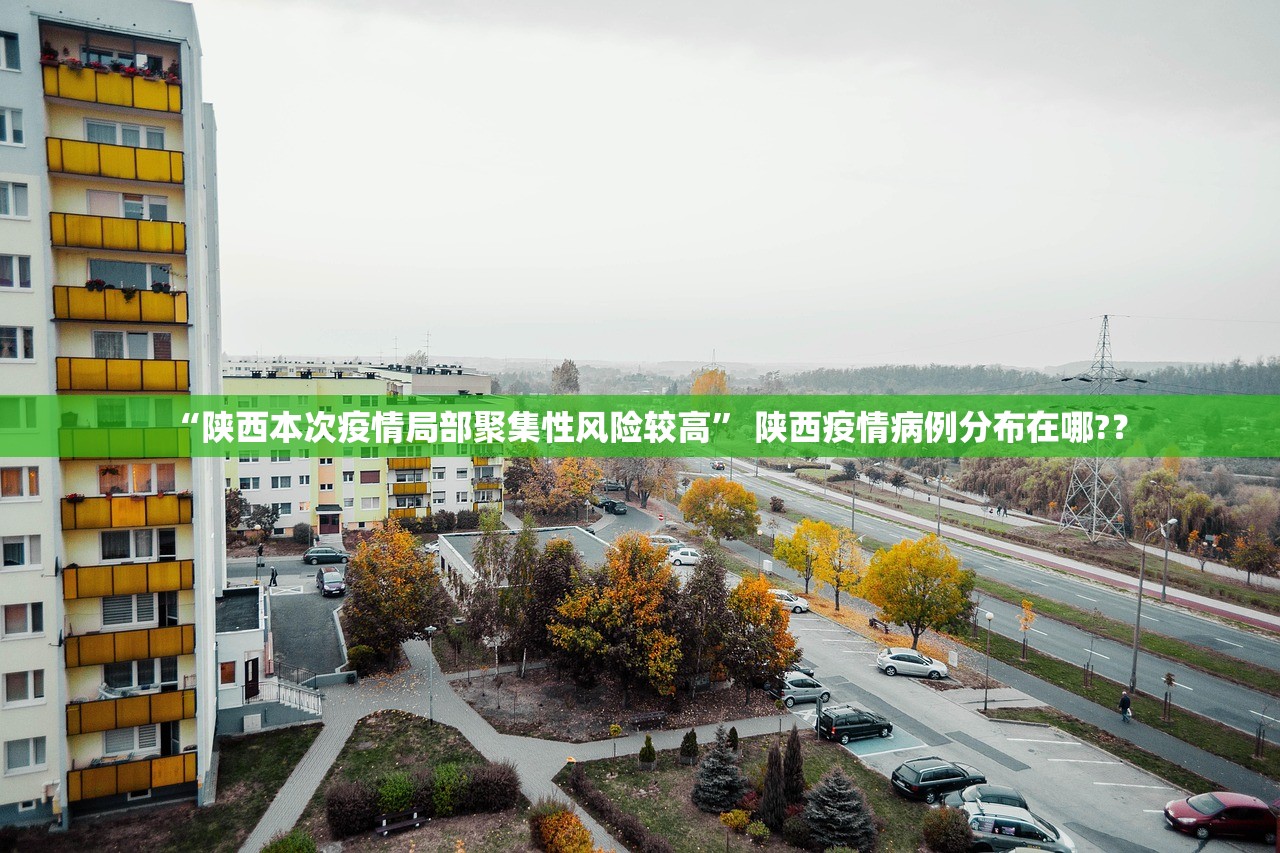 “陕西本次疫情局部聚集性风险较高” 陕西疫情病例分布在哪?？