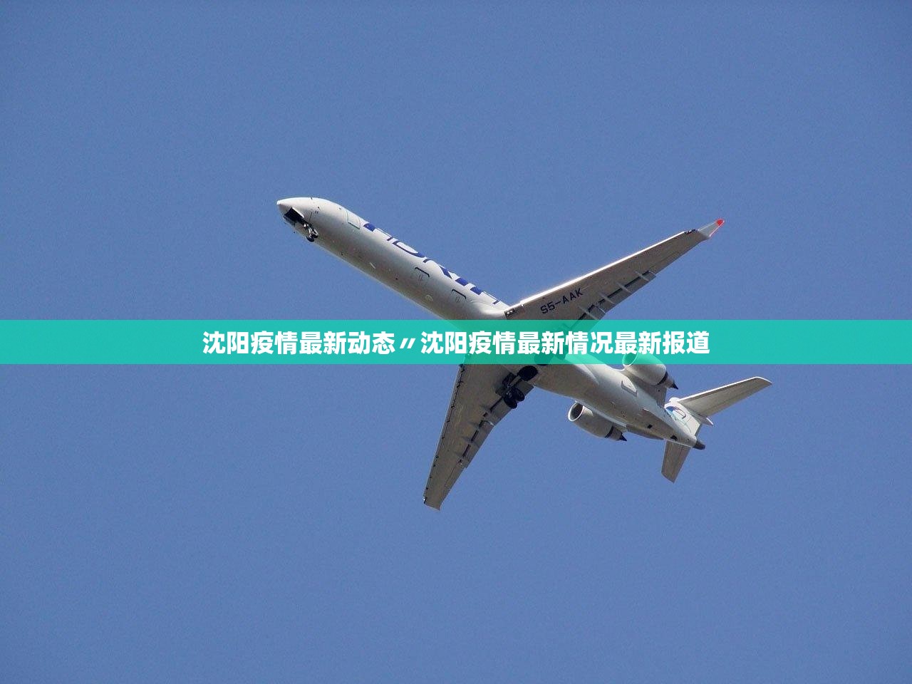 沈阳疫情最新动态〃沈阳疫情最新情况最新报道 沈阳疫情最新动态〃沈阳疫情最新情况最新报道