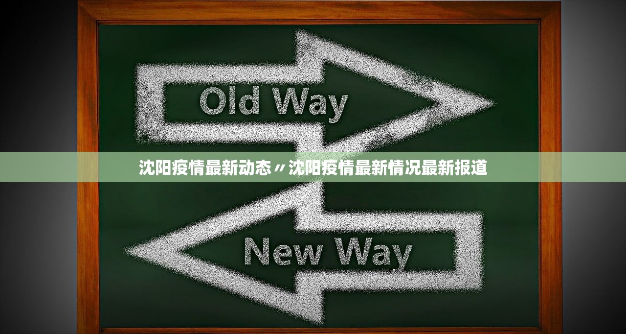 沈阳疫情最新动态〃沈阳疫情最新情况最新报道