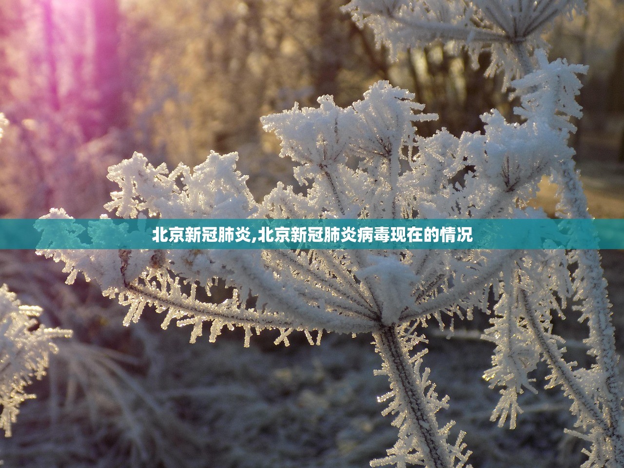 【上海新增28例无症状/上海新增1例无症状】 【上海新增28例无症状/上海新增1例无症状】