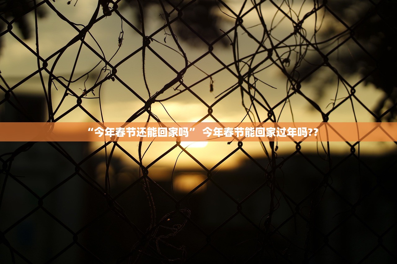 “今年春节还能回家吗” 今年春节能回家过年吗?？