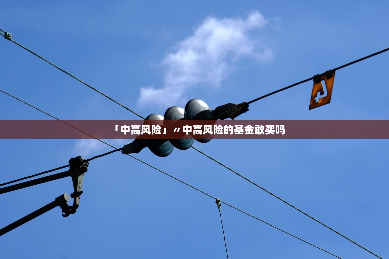 「中高风险」〃中高风险的基金敢买吗 「中高风险」〃中高风险的基金敢买吗