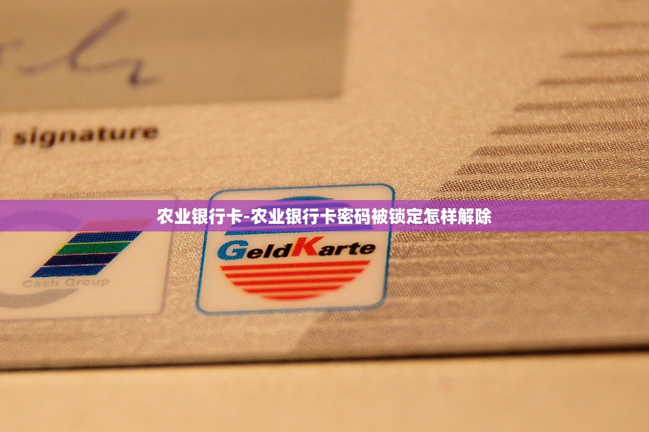 农业银行卡-农业银行卡密码被锁定怎样解除