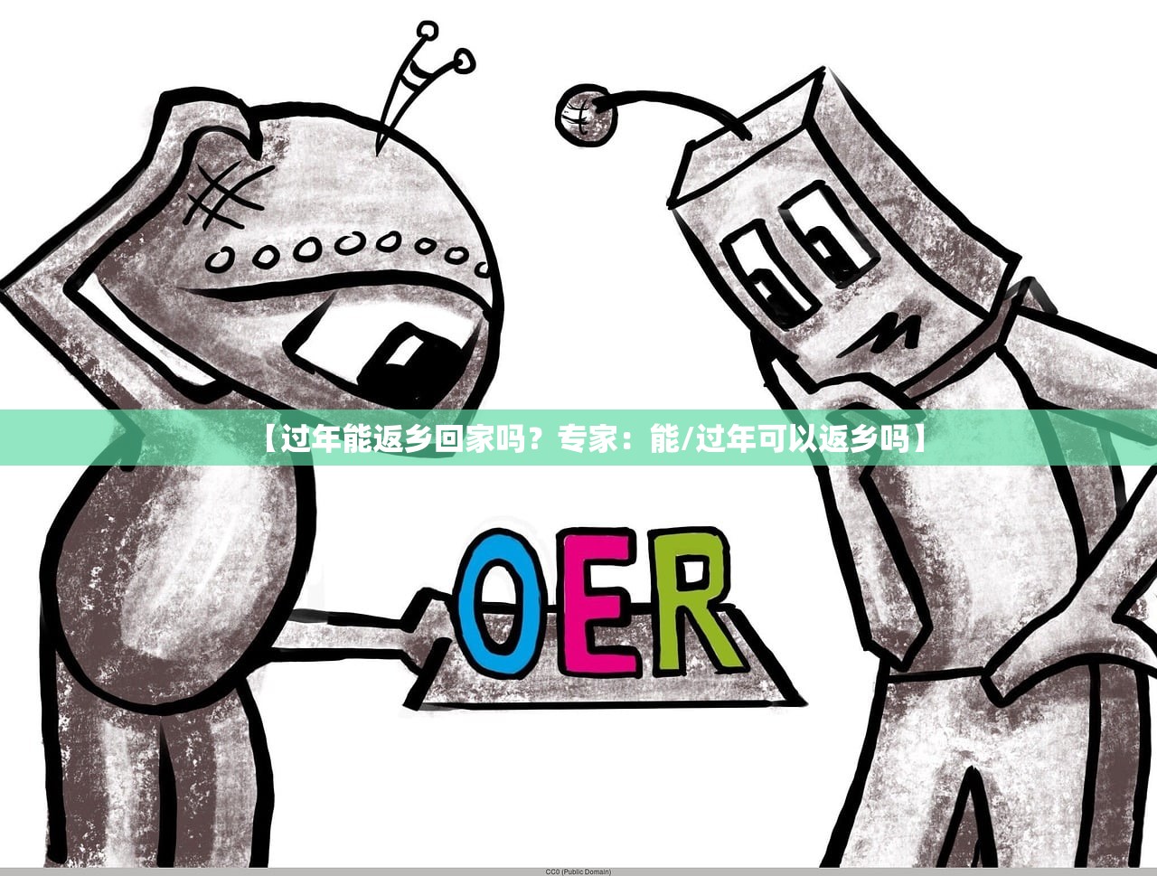 【过年能返乡回家吗？专家：能/过年可以返乡吗】