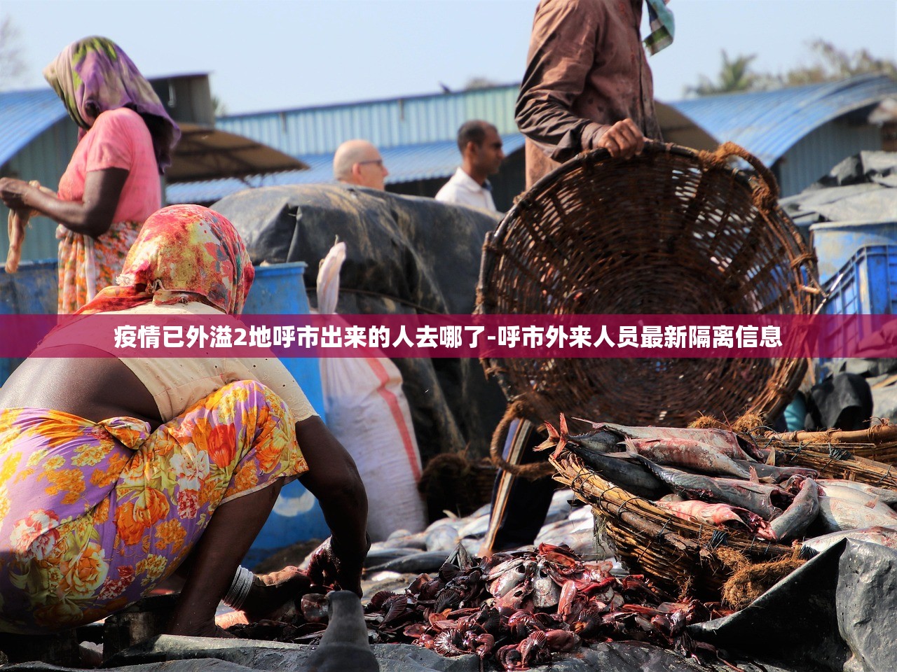 烟台到大连〃烟台到大连的轮渡费用及时间 烟台到大连〃烟台到大连的轮渡费用及时间