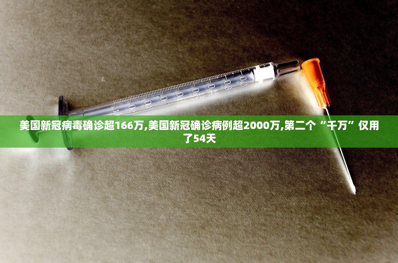 美国新冠病毒确诊超166万,美国新冠确诊病例超2000万,第二个“千万”仅用了54天
