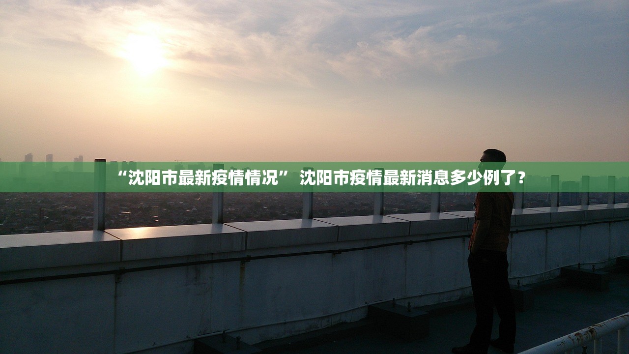 “沈阳市最新疫情情况” 沈阳市疫情最新消息多少例了？