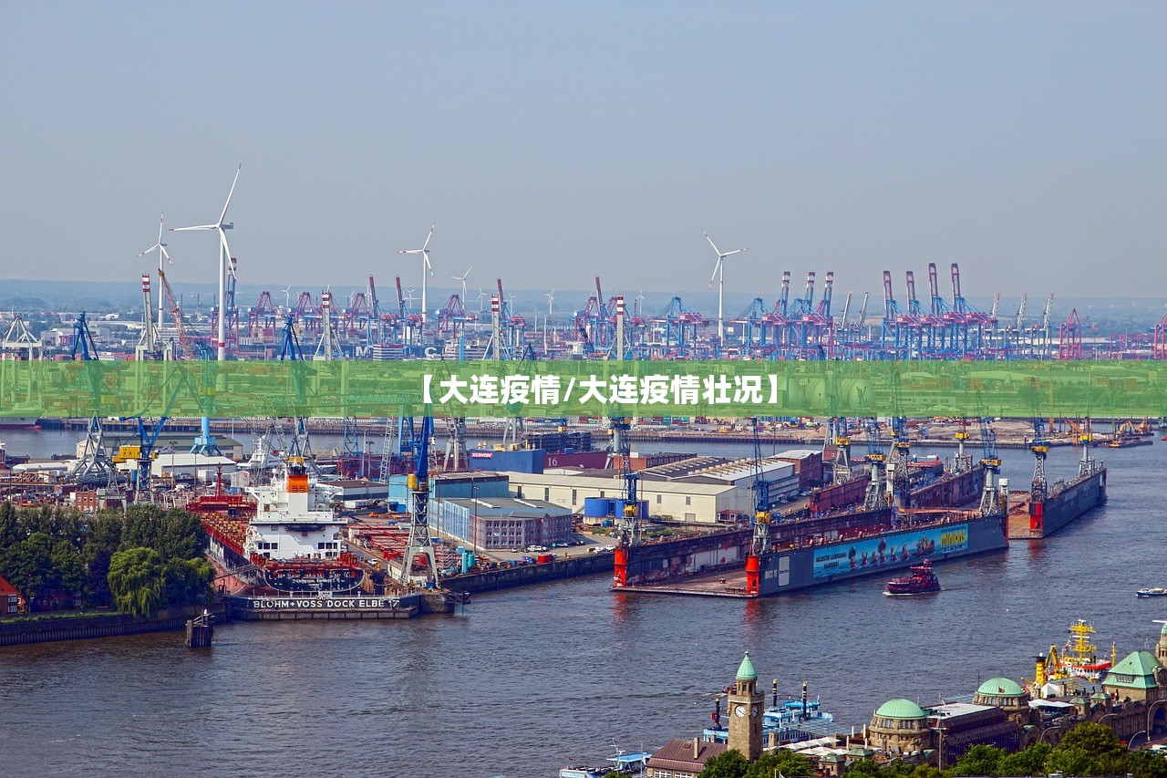 【大连疫情/大连疫情壮况】