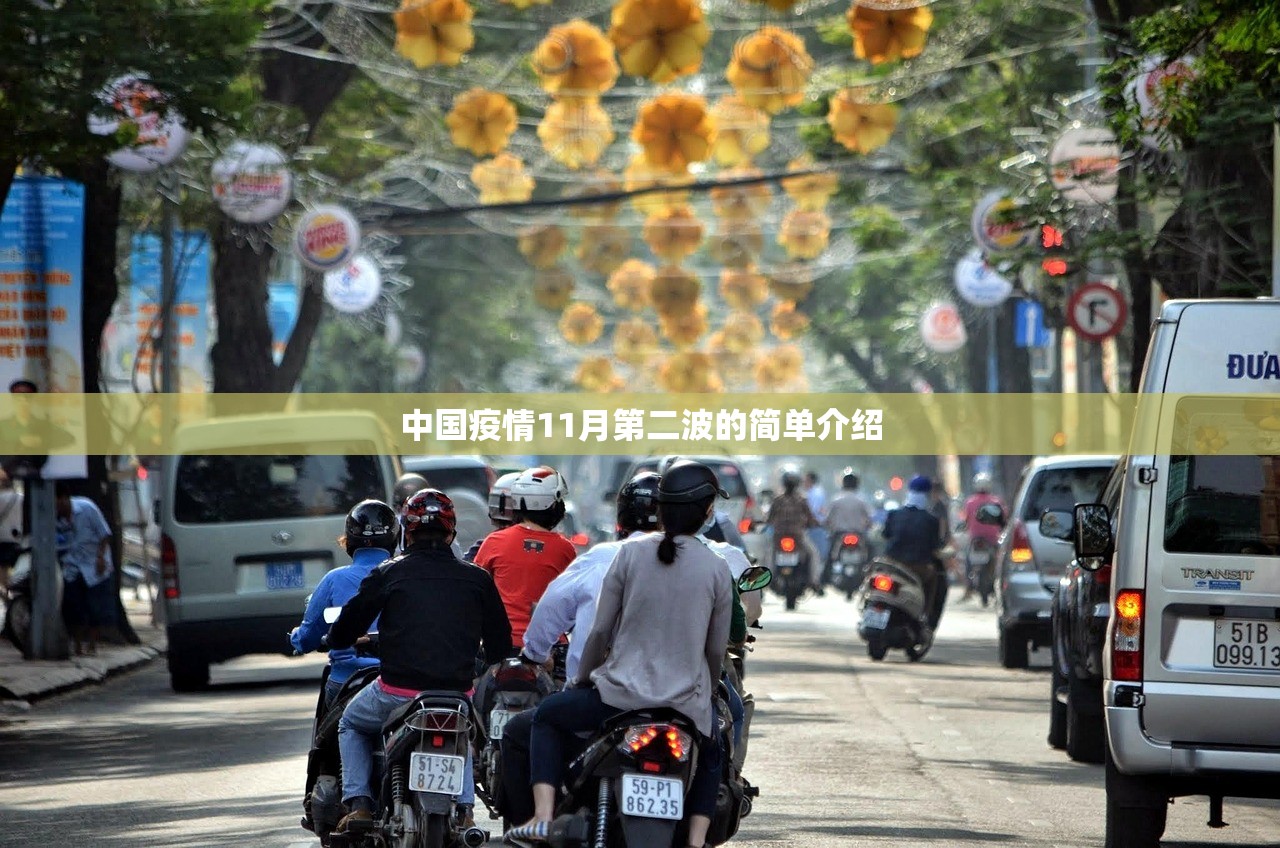 中国疫情11月第二波的简单介绍