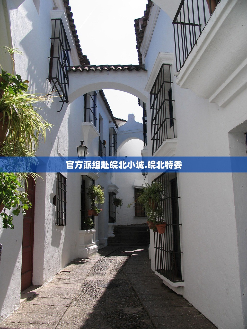 官方派组赴皖北小城.皖北特委
