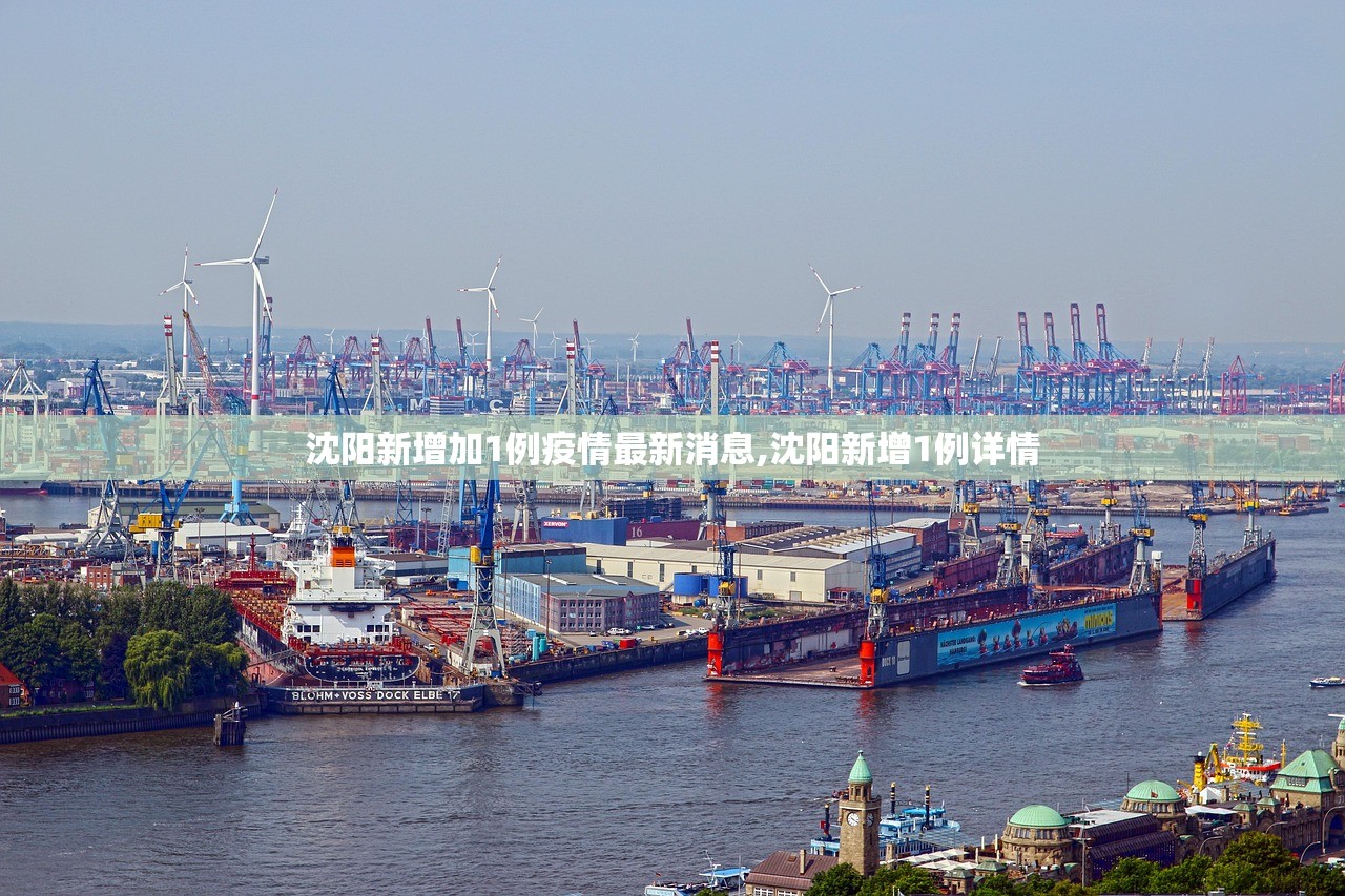 沈阳新增加1例疫情最新消息,沈阳新增1例详情 沈阳新增加1例疫情最新消息,沈阳新增1例详情