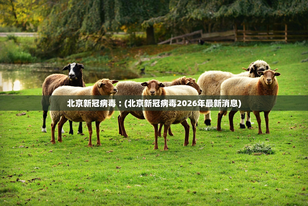 北京新冠病毒︰(北京新冠病毒2026年最新消息)