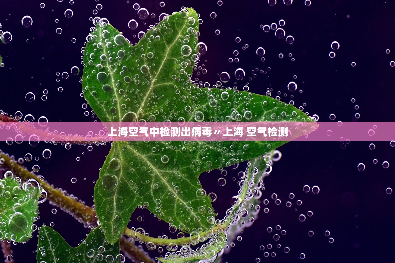 上海空气中检测出病毒〃上海 空气检测