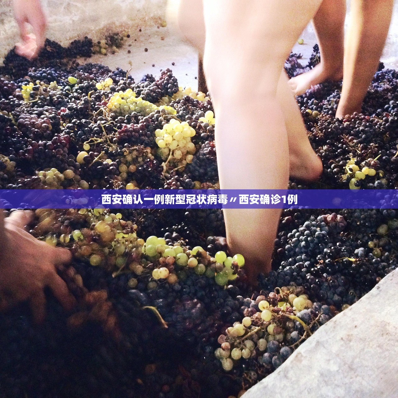 西安确认一例新型冠状病毒〃西安确诊1例 西安确认一例新型冠状病毒〃西安确诊1例