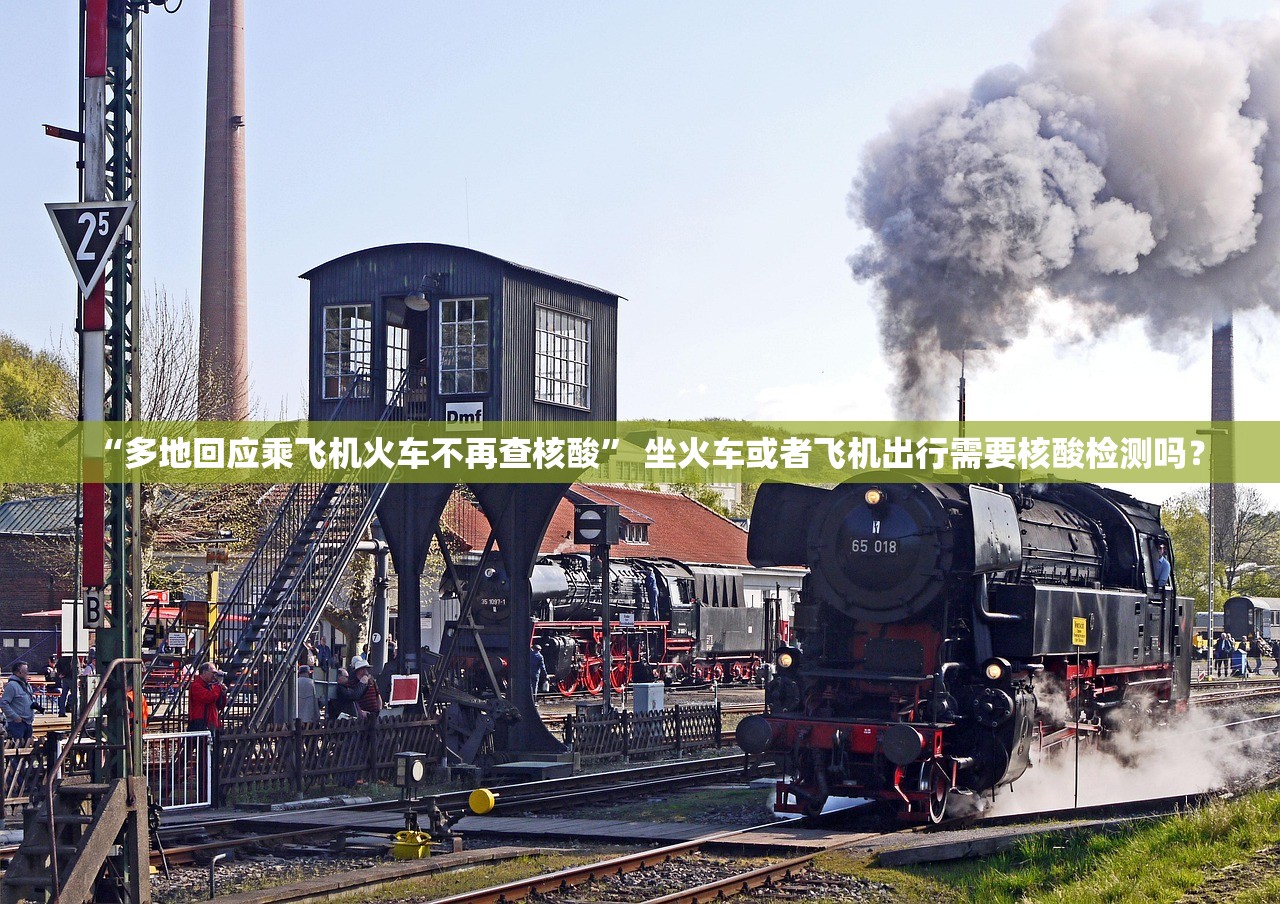 “多地回应乘飞机火车不再查核酸” 坐火车或者飞机出行需要核酸检测吗？