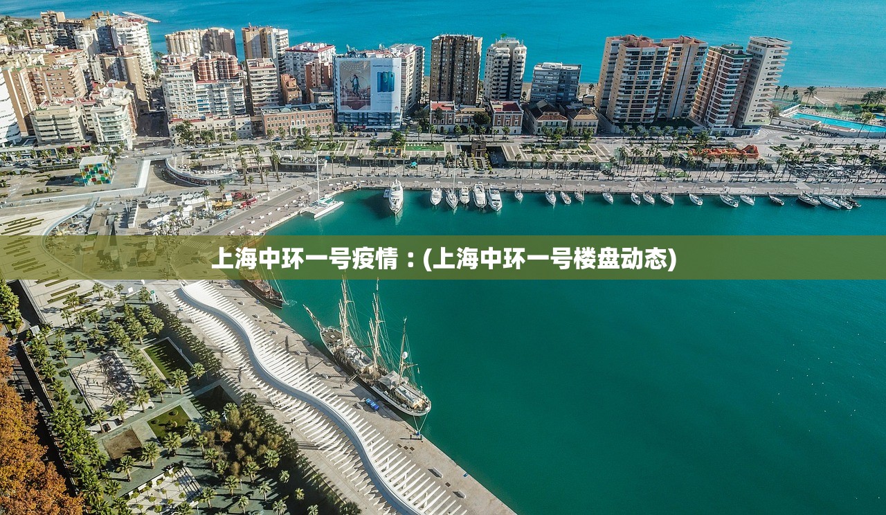 上海中环一号疫情︰(上海中环一号楼盘动态)