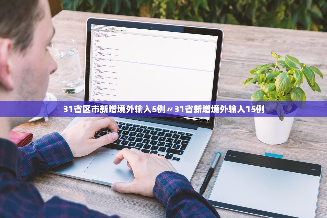 31省区市新增境外输入5例〃31省新增境外输入15例