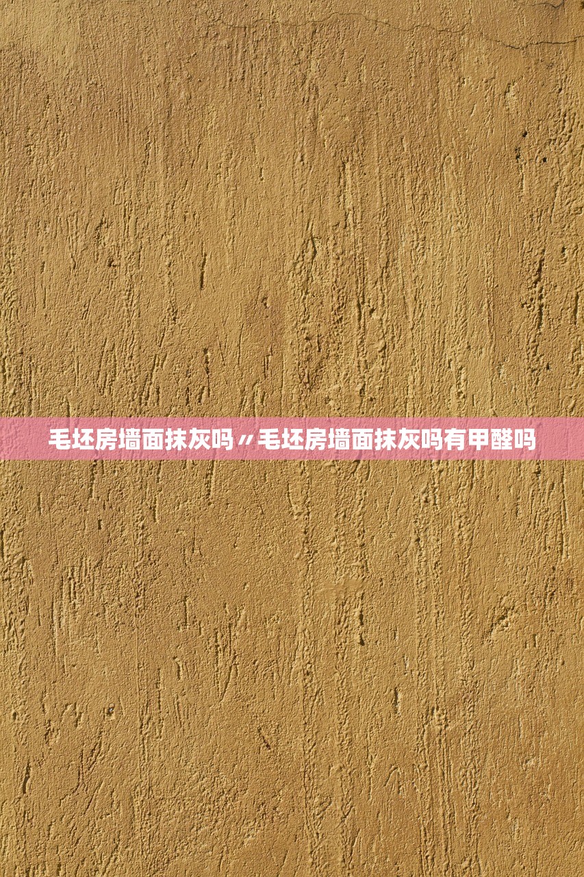毛坯房墙面抹灰吗〃毛坯房墙面抹灰吗有甲醛吗 毛坯房墙面抹灰吗〃毛坯房墙面抹灰吗有甲醛吗