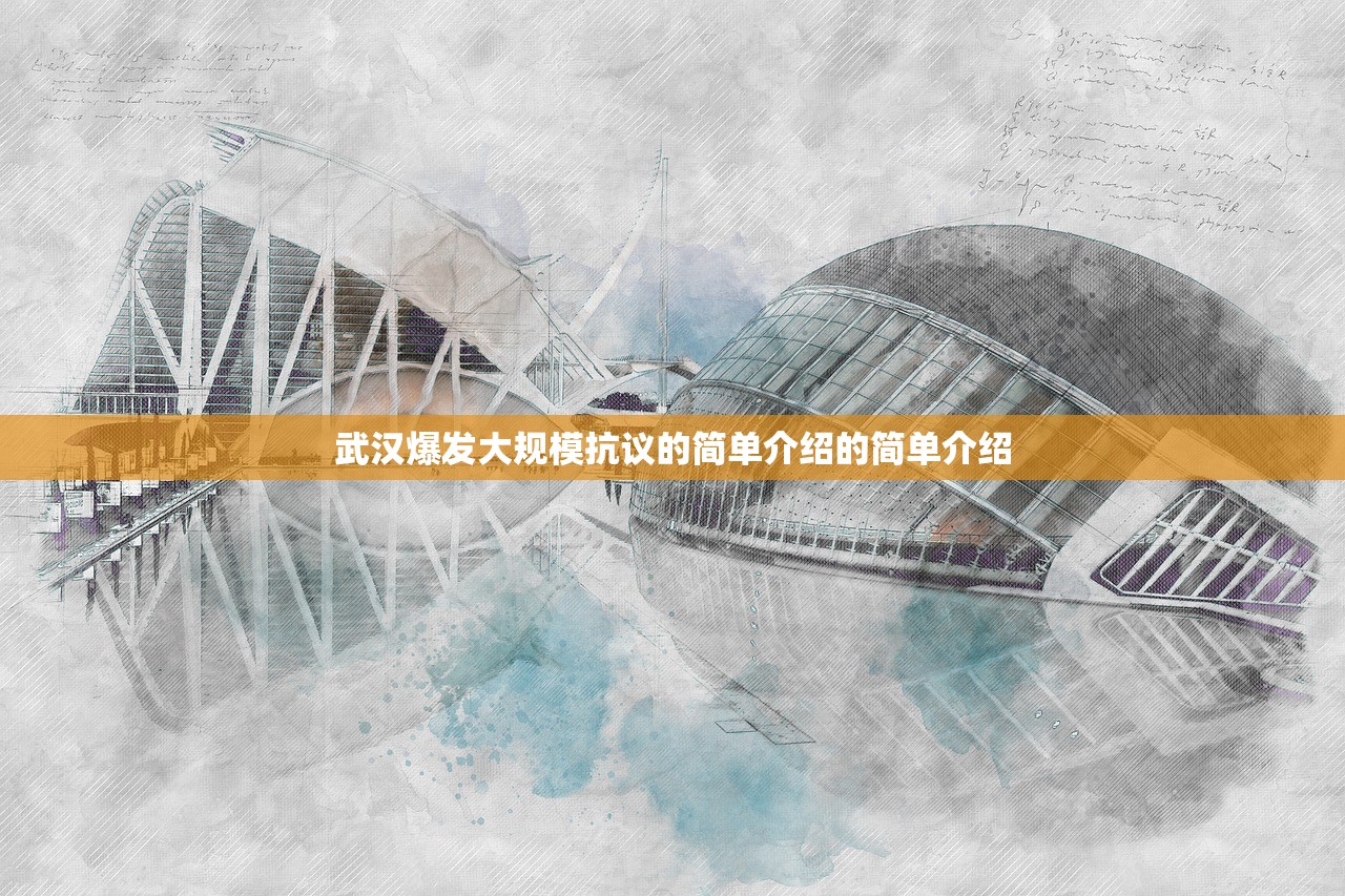 武汉爆发大规模抗议的简单介绍的简单介绍