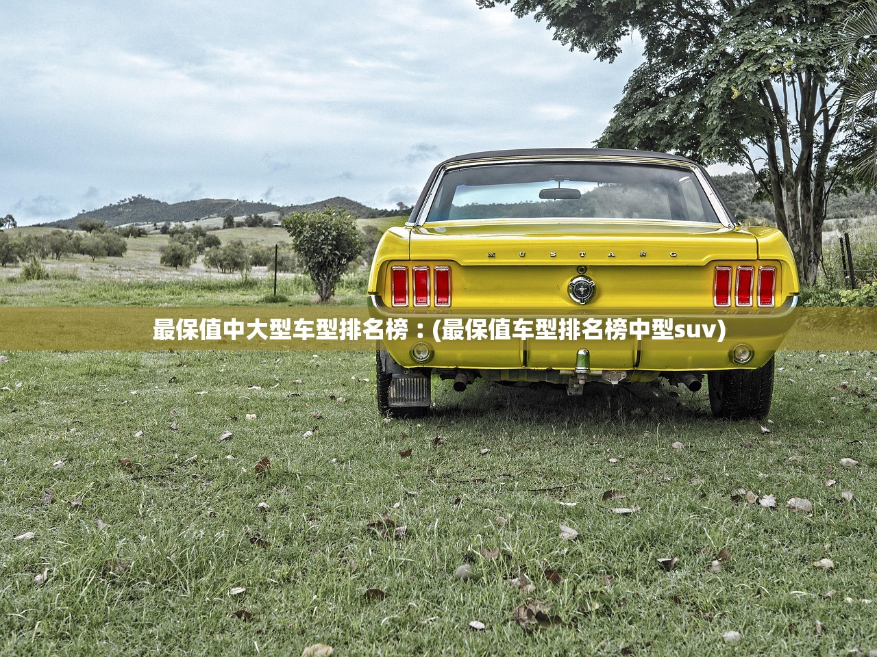 最保值中大型车型排名榜︰(最保值车型排名榜中型suv)