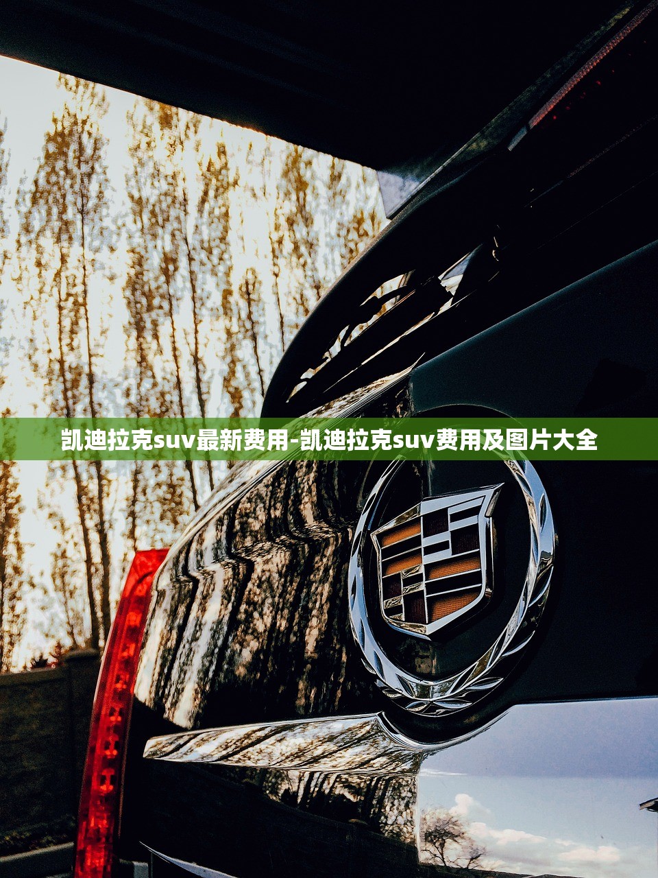 凯迪拉克suv最新费用-凯迪拉克suv费用及图片大全 凯迪拉克suv最新费用-凯迪拉克suv费用及图片大全